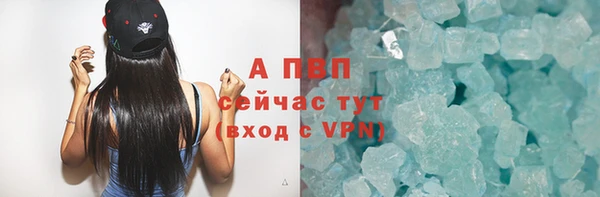 прущие грибы Покров